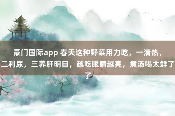 豪门国际app 春天这种野菜用力吃，一清热，二利尿，三养肝明目，越吃眼睛越亮，煮汤喝太鲜了