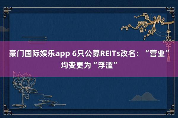 豪门国际娱乐app 6只公募REITs改名：“营业”均变更为“浮滥”