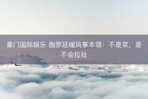 豪门国际娱乐 伽罗延缓风筝本领：不是菜，是不会拉扯